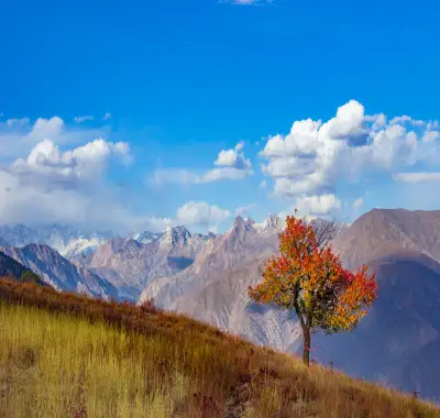 Chitral